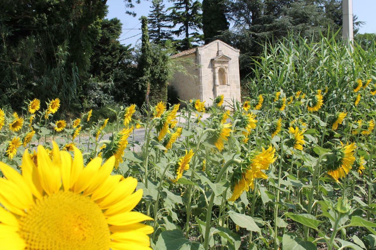 Mas De La Chapelle Sainte-Elisabeth Villa Tarascon Kültér fotó